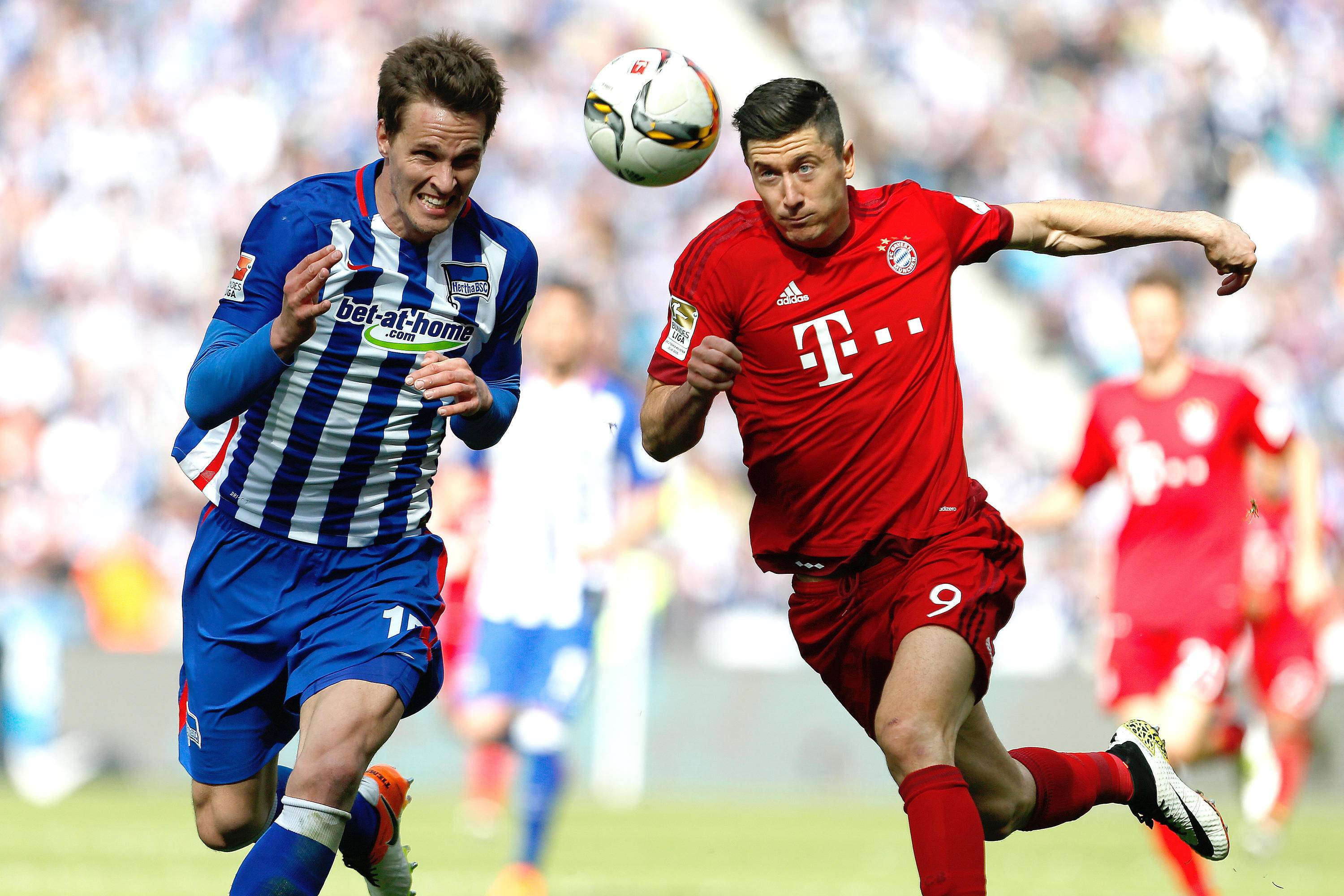 Berlin, 23. April 2016 - Fußball, 1. Bundesliga 2015/16, Hertha BSC - FC Bayern München: Sebastian Langkamp (Hertha BSC, 15), Robert Lewandowski (FC Bayern München, 9)