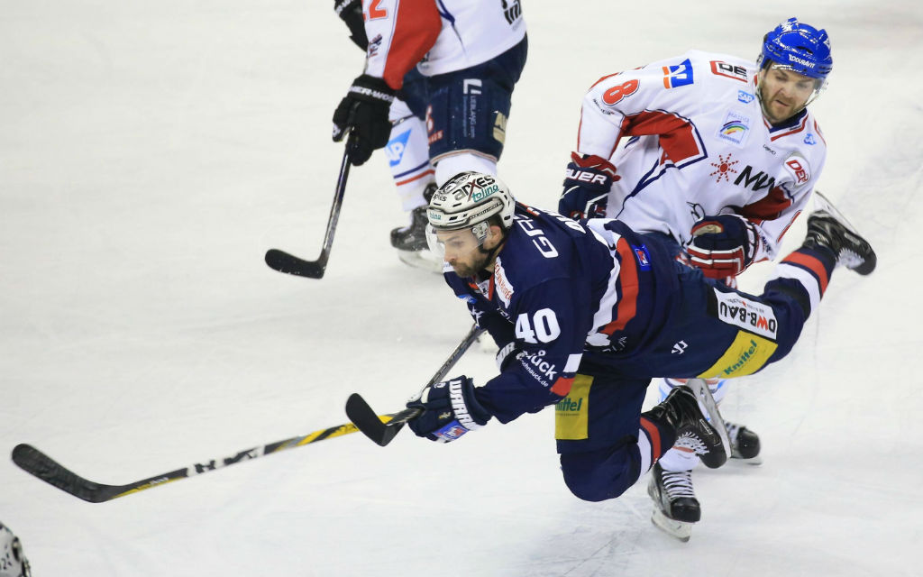 Viertelfinale: Adler oder Eisbären - wer holt sich den entscheidenden 7. Sieg?