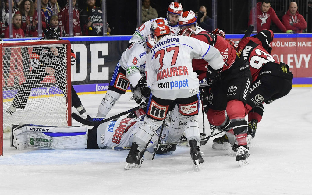 Kampf um die Playoffs: Haie gegen Wild Wings.