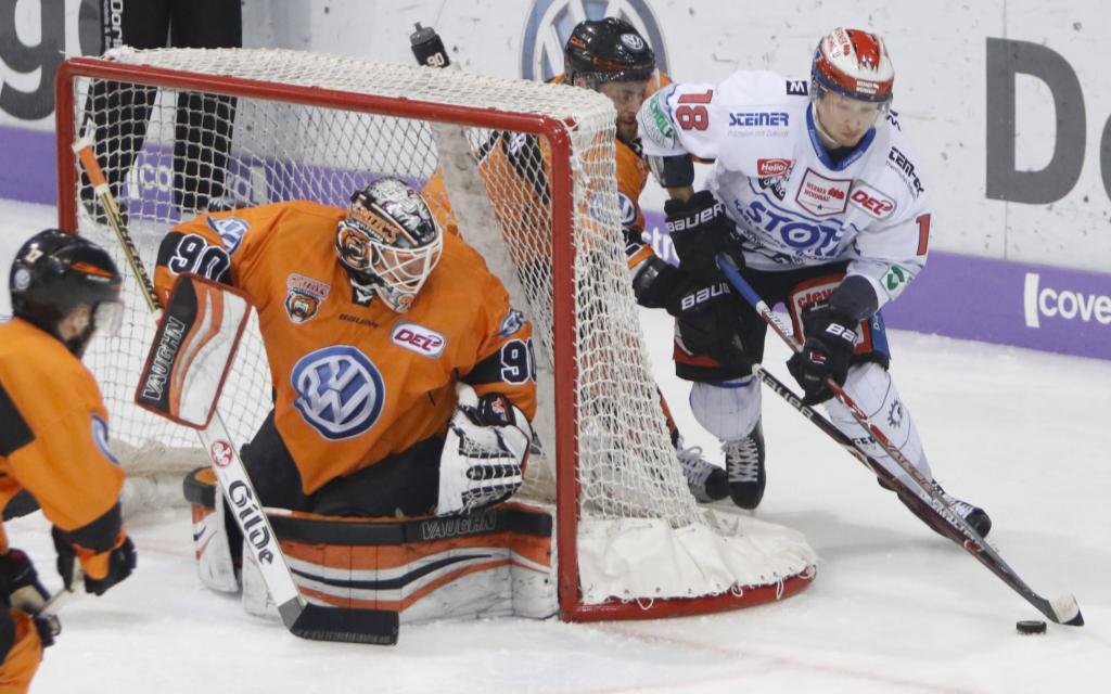 Grizzlys oder Wild Wings – wer startet besser in ide Pre-Playoffs?