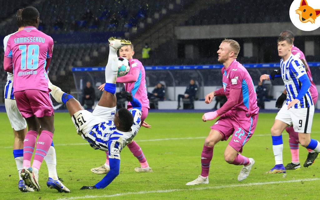 Der Quotenfuchs beim Bundesligaspiel Hoffenheim gegen Hertha.