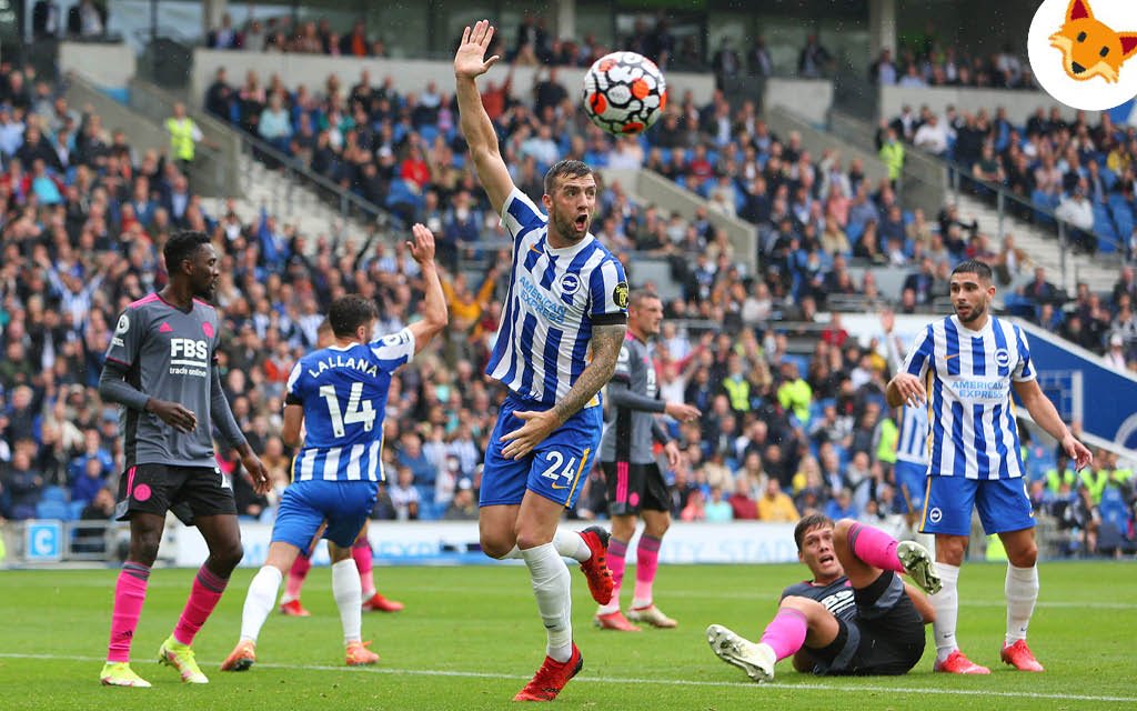 Der Quotenfuchs in der Premier League beim Heimspiel von Brighton & Hove Albion.