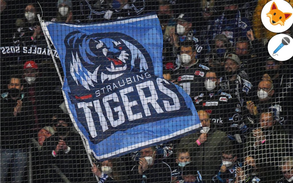 Der Quotenfuchs bei Straubing Tigers gegen Adler Mannheim