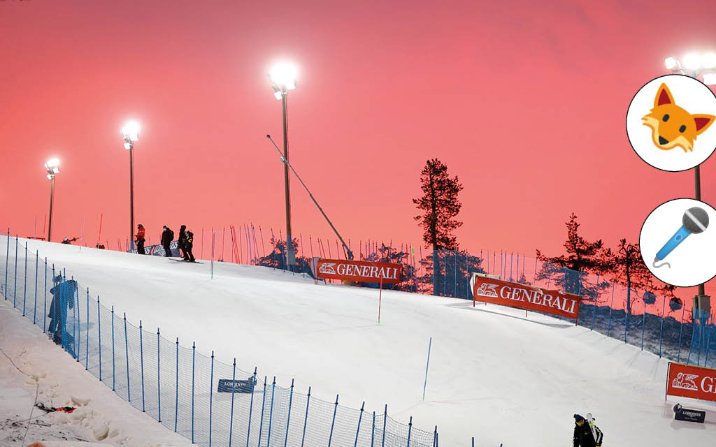 Der Quotenfuchs muss früh raus, um den Slalom in Levi zu sehen.